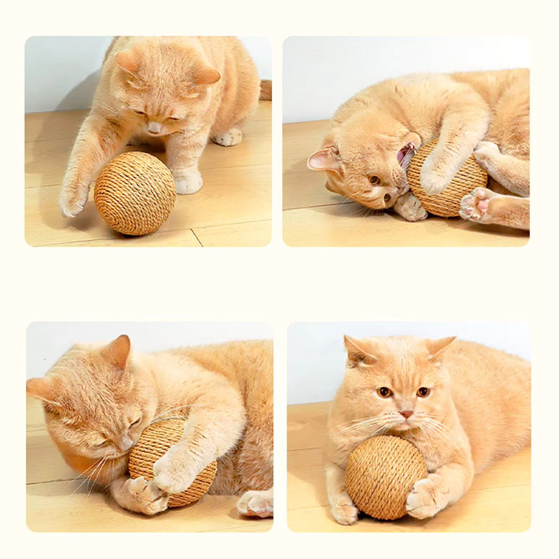 andyoriginal875's tweet image. Say goodbye to scratched furniture! 🛋️✨ This Cat Scratching Ball keeps your kitty happily entertained and satisfies their scratching instincts 🐾🎉. Give them hours of fun and your home some peace! 😸

Visit: critterbuys.com

#HappyKitty #ScratchFun #cats #dogs #pet…