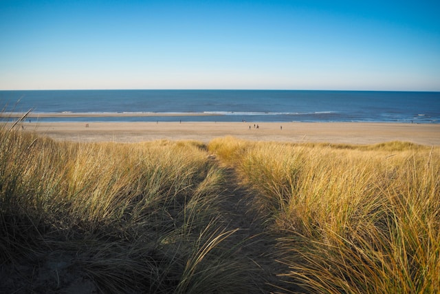 20e editie Egmond Wandel Marathon als start van het nieuwe wandeljaar

Op zaterdag 25 en zondag 26 januari staat Egmond aan Zee in het teken van de Egmond Wandel Marathon. Deze winterklassieker
Lees verder bij de bron: castricummer
Photo by Dana Marin (Amsterdamian) on Unsplash