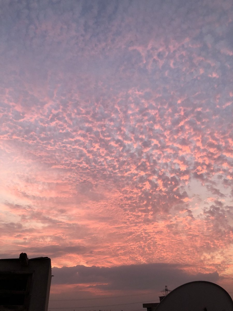 حصصل طلعتلها السطح مخصوص