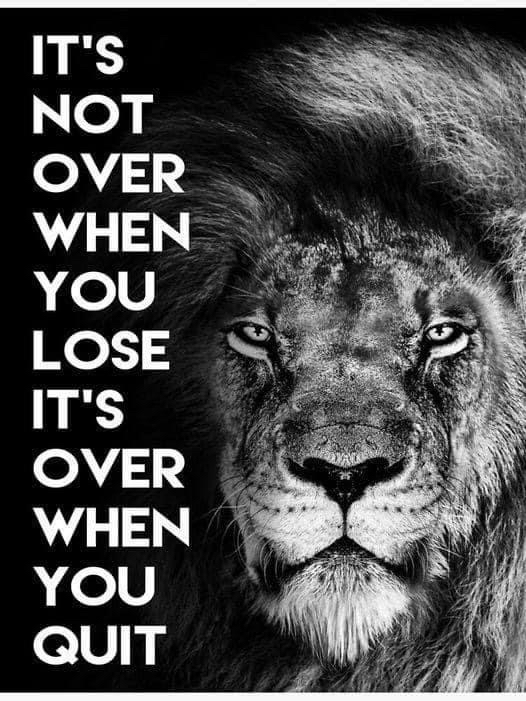 Liberal Resistance tweet media