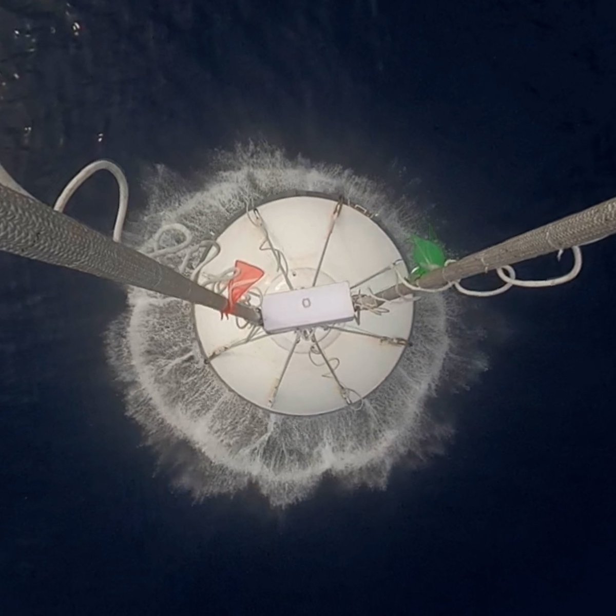 Space Perspective tweet media