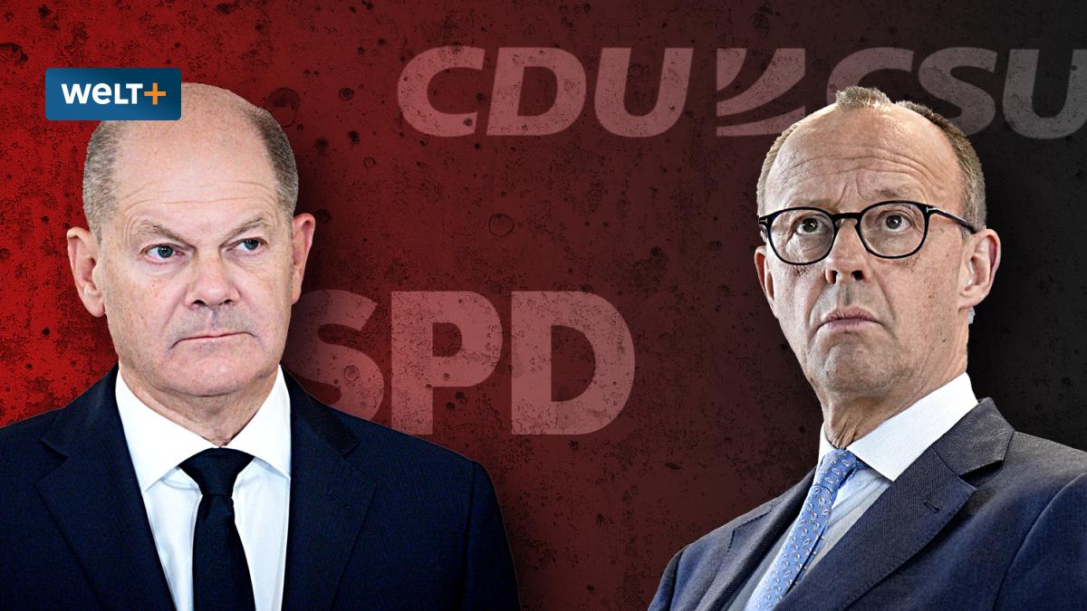 WELT tweet media