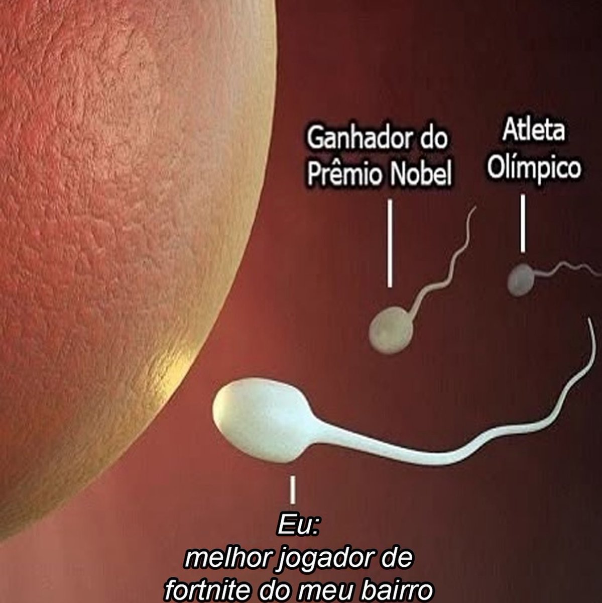 Shitpost só que de verdade (@shitpostverdade) on Twitter photo 