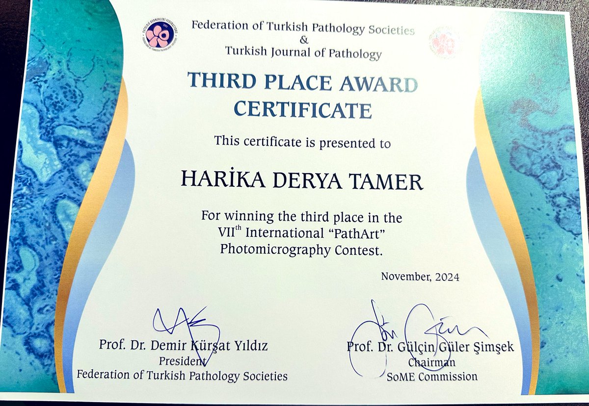 gulcin guler simsek, MD (@glinglerimek) on Twitter photo We announced the winners of the competition at the 33rd National Pathology Congress and presented their certificates to those who attended our congress. Congrats dear friends 👏👏👏 #SoMe awards of <a href="/TurkJPath/">Turkish J Pathology</a> 👏👏👏 We announced the winners of the competition at the 33rd National Pathology Congress and presented their certificates to those who attended our congress. Congrats dear friends 👏👏👏 #SoMe awards of <a href="/TurkJPath/">Turkish J Pathology</a> 👏👏👏