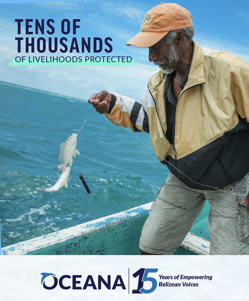 OceanaBelize's tweet photo. Every win for our #CaribbeanSea is a win for #Belize’s families and future. #Oceana stands with #Belizeans to protect tens of thousands of livelihoods and create real change — together. #OceanaBelize https://t.co/lXwOvMz1wI