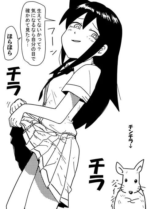 チラチラチンチンチラ 