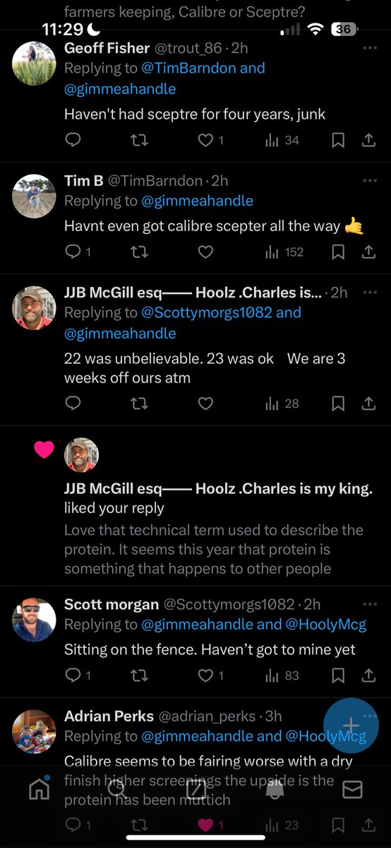 And this is why it’s about pointless asking for recommendations of wheat varieties 😂🤦🏻‍♂️ every answer is as good as no answer. Looks like a coin toss