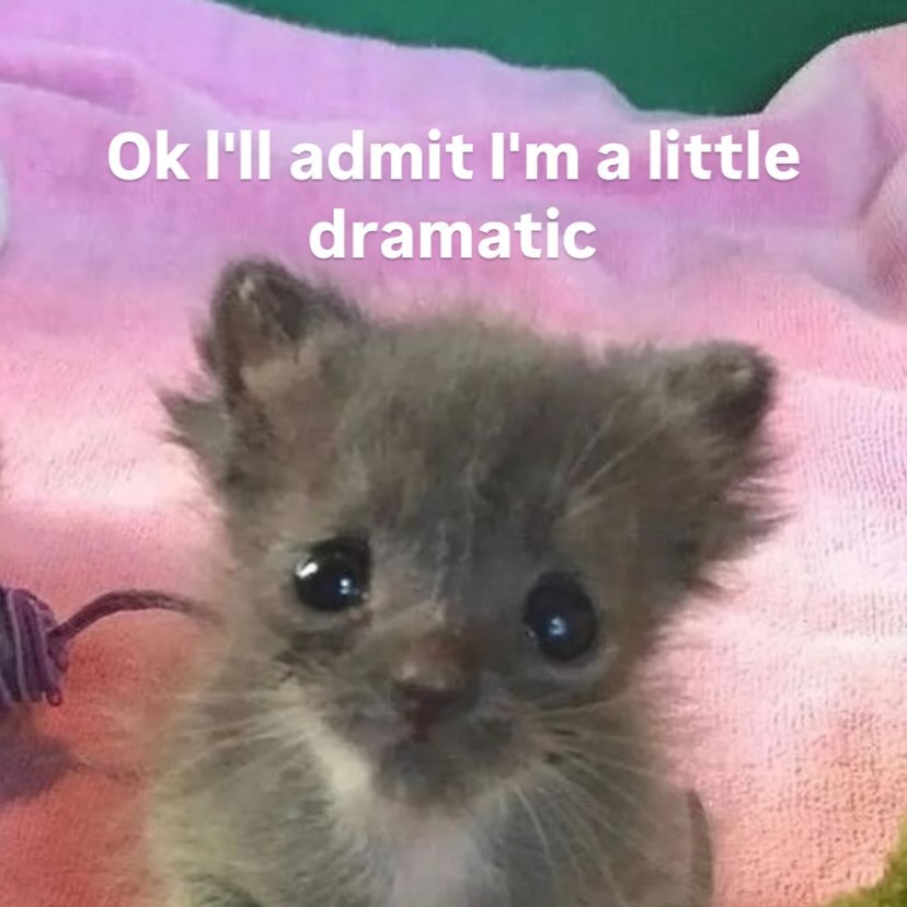 Catsillyness's tweet image. Just a little