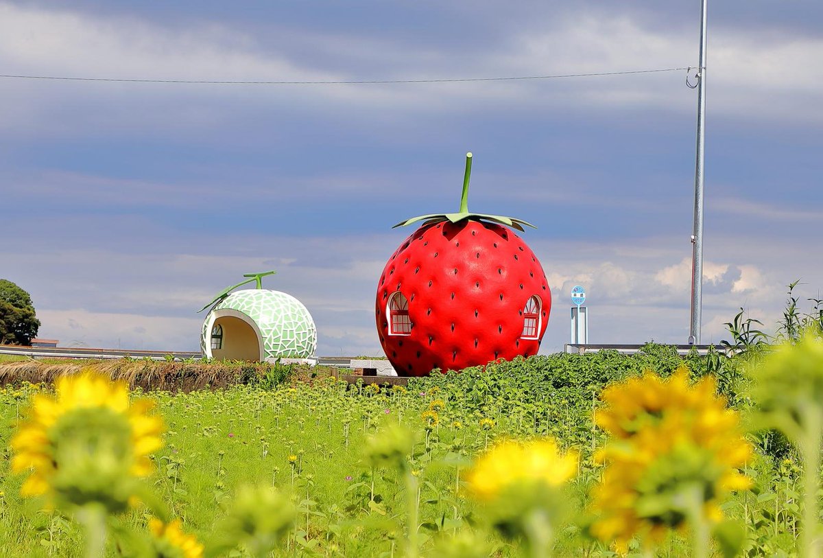 javierubioo's tweet photo. En la ciudad japonesa de Konagai las estaciones de autobús tienen forma de fruta! 

Las hay de 5 tipos: fresa, sandía, melón, naranja y tomate. https://t.co/UJquxDX4ML