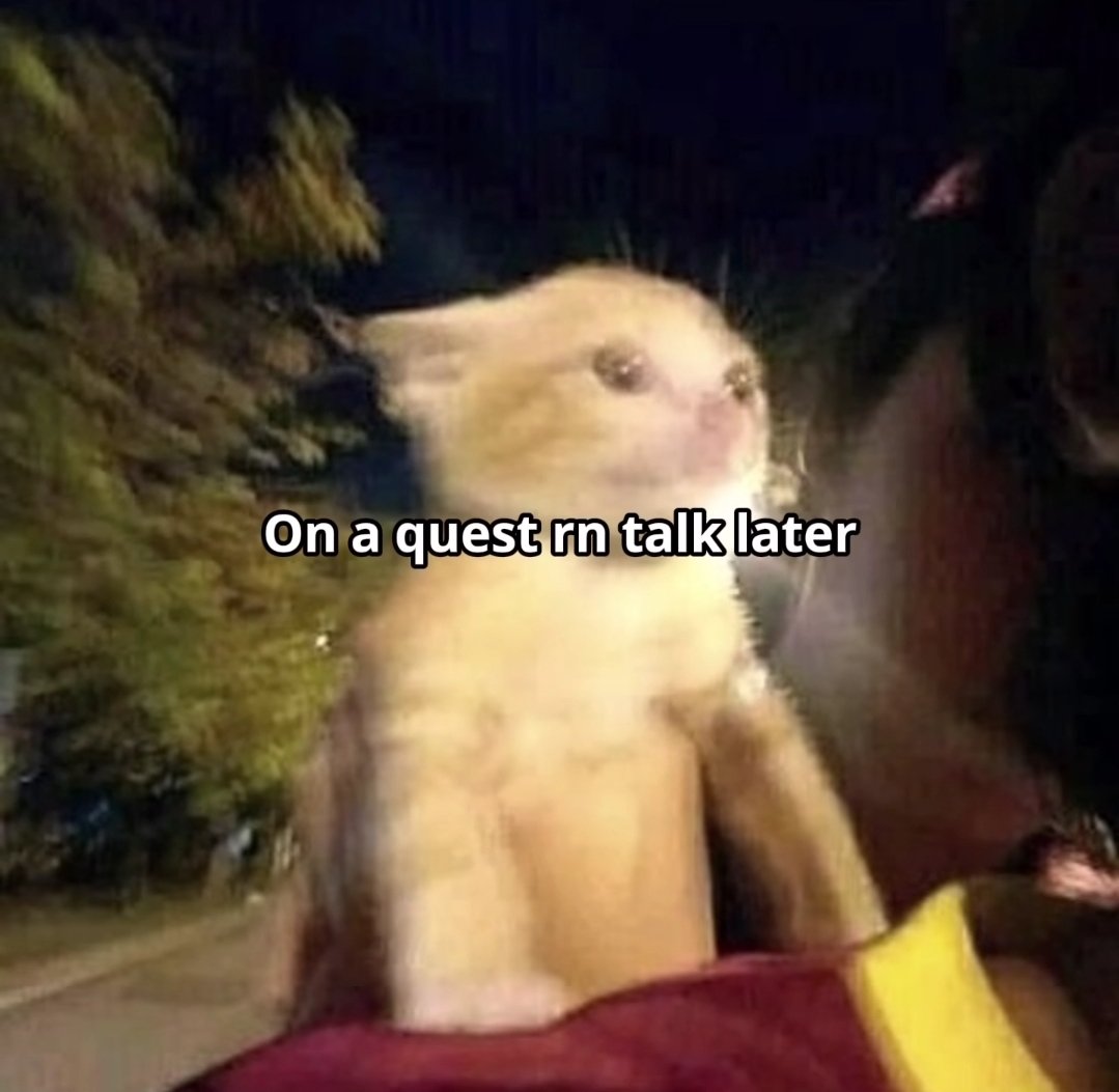 smol silly cat tweet media