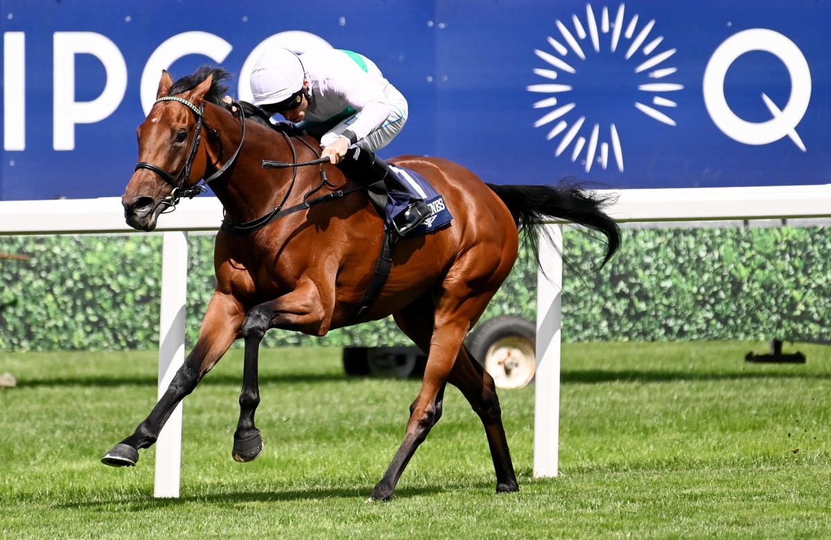 Raising Champions 👑
3yo's 𝐊𝐢𝐧𝐝 𝐎𝐟 𝐁𝐥𝐮𝐞 &amp; 𝐅𝐫𝐢𝐞𝐧𝐝𝐥𝐲 𝐒𝐨𝐮𝐥 were both foaled at the National Stud and went on to win Group 1 races this year in the British Champions Sprint and Prix de l'Opera respectively. 

📸 Healy Racing 

#foaling #NSgraduates #Group1 #win
