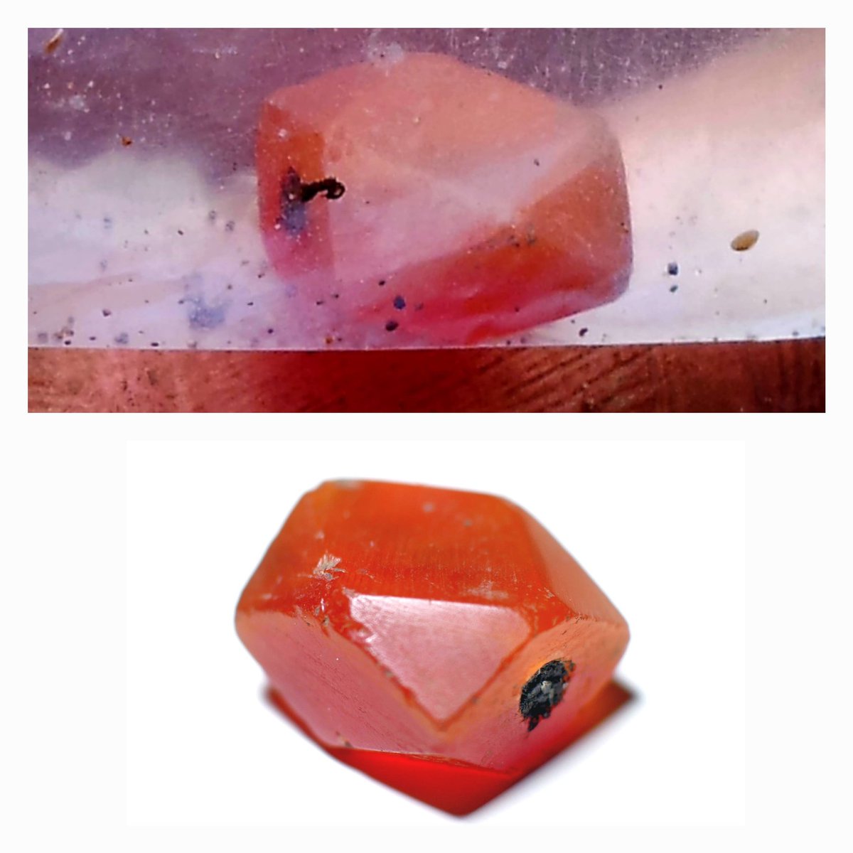 Dr Tom Horne tweet media