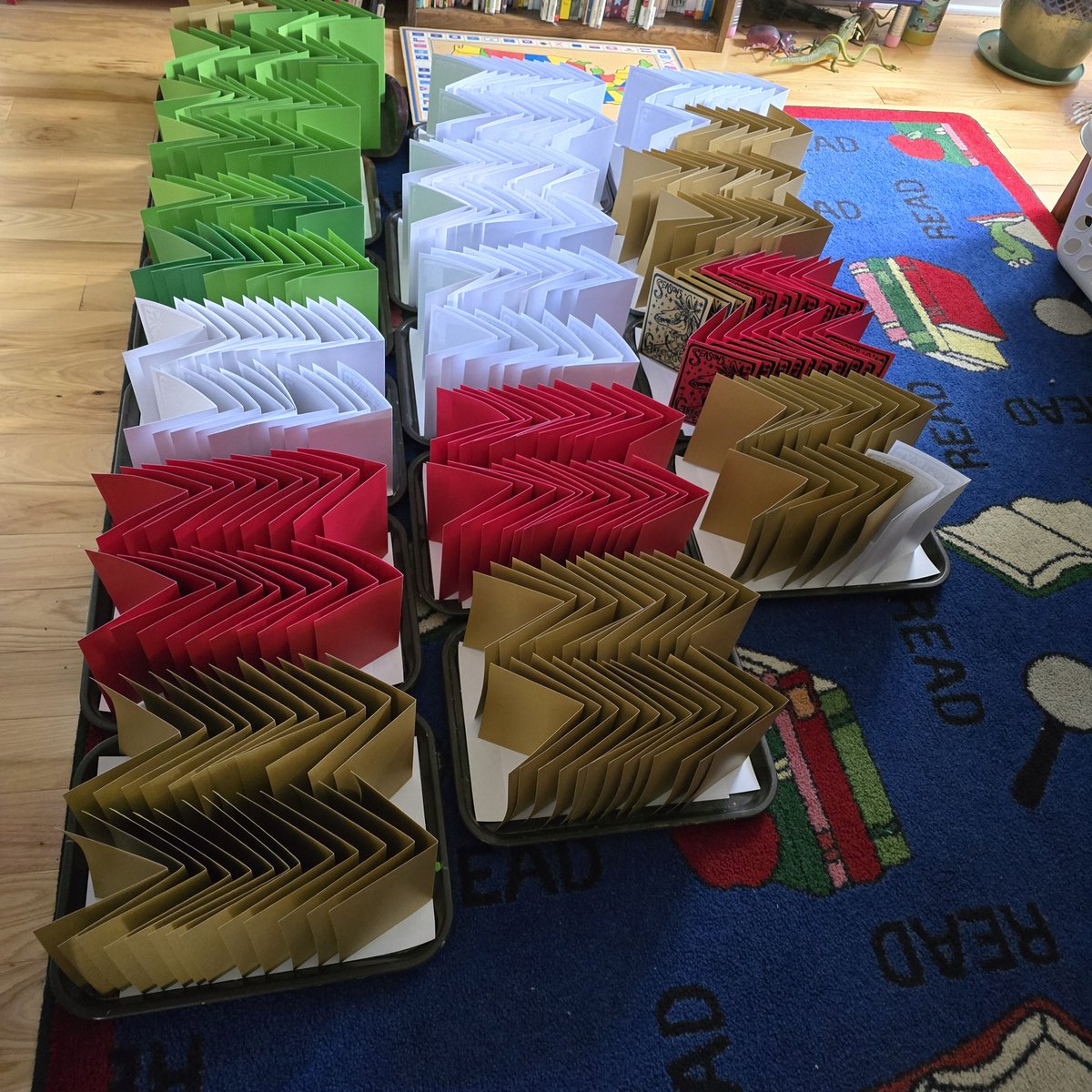 kelsey wailes🐳 tweet media