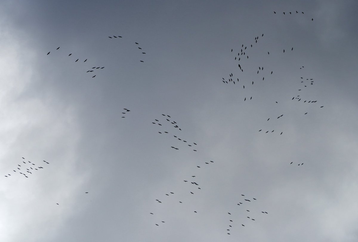 Gaur, Bexenafarroan, ehunka kurrilohegoalderantz hegan; laster, hotza eta elurra❄️❄️❄️