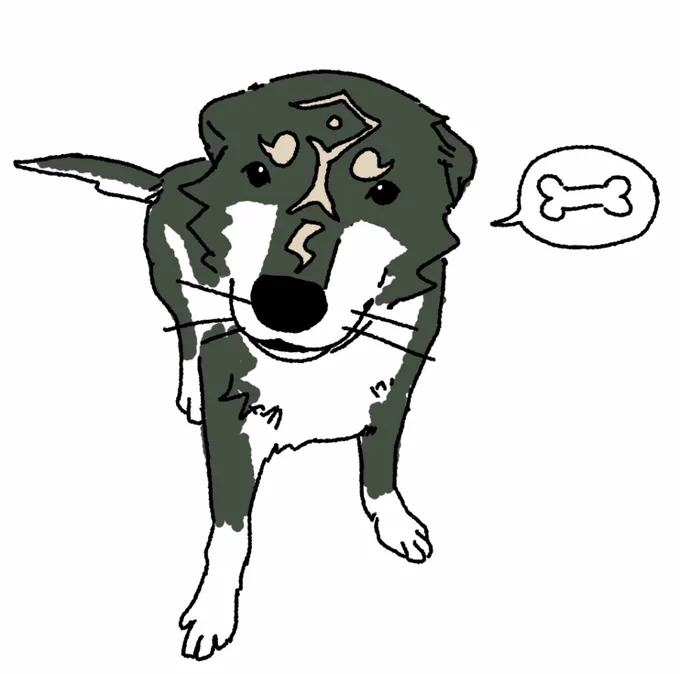 🐺🐺🐺🐺 