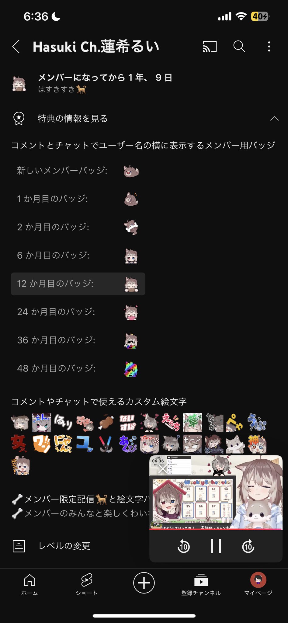 HKR◡̈⃝✰様　3点おまとめページ そうちゃとVTSで対談コラボ♡〙おはなししよ- ̗̀ ♡ ̖́- #おもち