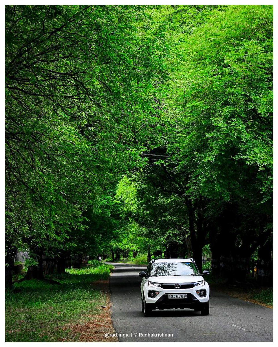 RadCoimbatore's tweet photo. 💚💚💚 Coimbatore.💚💚💚
@covaichronicle @CovaiDigital @CovaiTalkss @TirupurTalks https://t.co/4VThwI1uVI