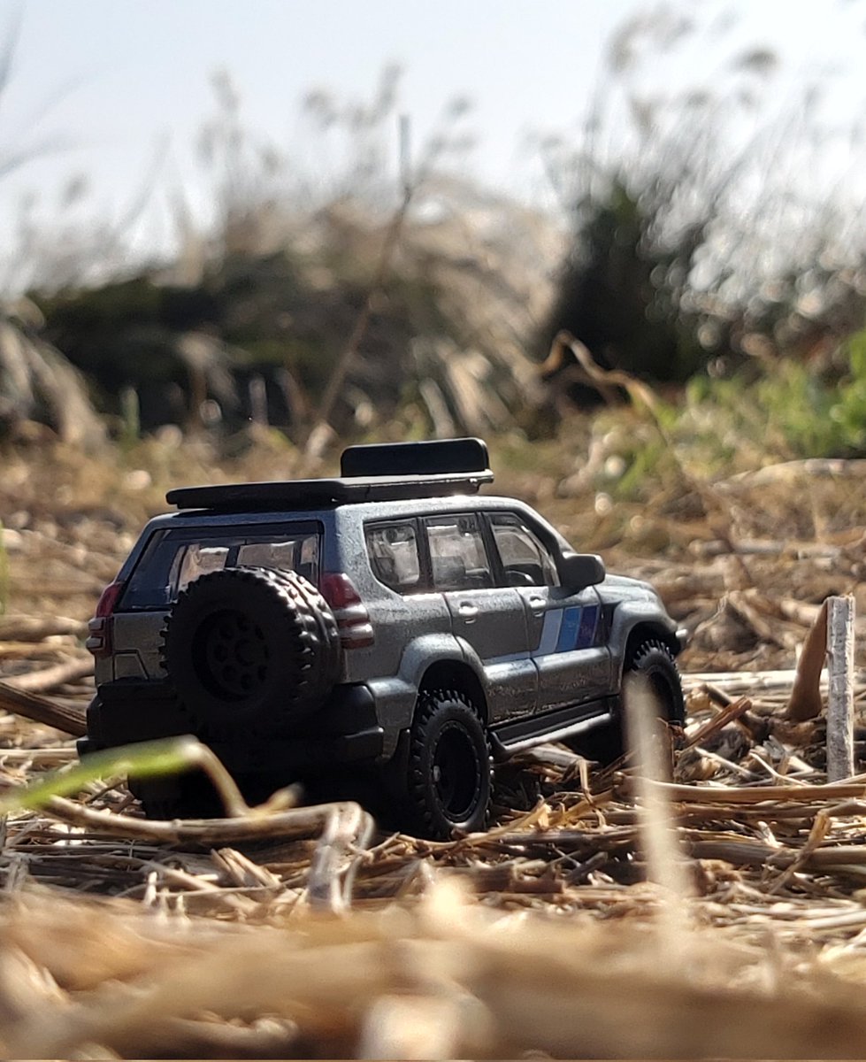 NightFury4S's tweet photo. 일상 - 오늘 촬영 :) 보정..언젠가 할 수 있겠지 뭐
#hotwheels #toyota #delprado #제주도 https://t.co/rbJtmur1le