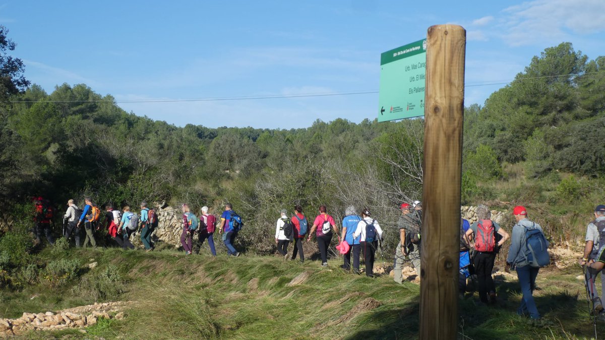 FEEC_cat's tweet photo. 🥾⛰️ El Catllar (Tarragonès) celebra el 59è Dia del Camí de Muntanya de la IV vegueria de la #FEEC.
Uns 450 excursionistes han recorregut l'antic i recuperat camí del Catllar als Pallaresos.
🔗https://t.co/6SAjhTbOnQ
#sentlamuntanya #sommuntanya #somexcursionisme https://t.co/fMCFHb0Gpv