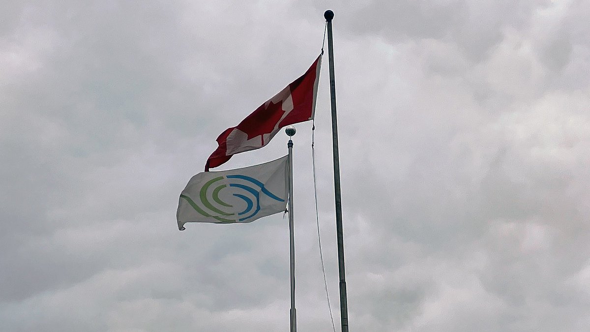 Transplant Manitoba tweet media