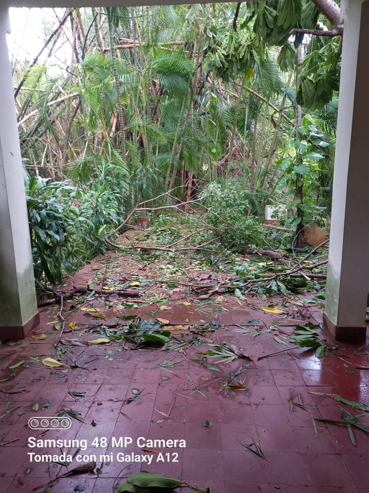 😔 La Quinta Santa Bárbara, sede de la Fundación del Nuevo Cine Latinoamericano luego del paso del huracán Rafael. Seguimos en las tareas de recuperación de la belleza y paz que siempre la caracterizó.