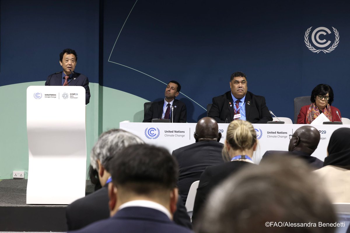 Agrifood solutions are climate solutions, but only 4.3% of climate finance goes to agrifood systems! We need 35-fold increase to reduce emissions, improve food security, resilience &amp; livelihoods. With courage &amp; collaboration we can ensure better future for people &amp; planet. #COP29