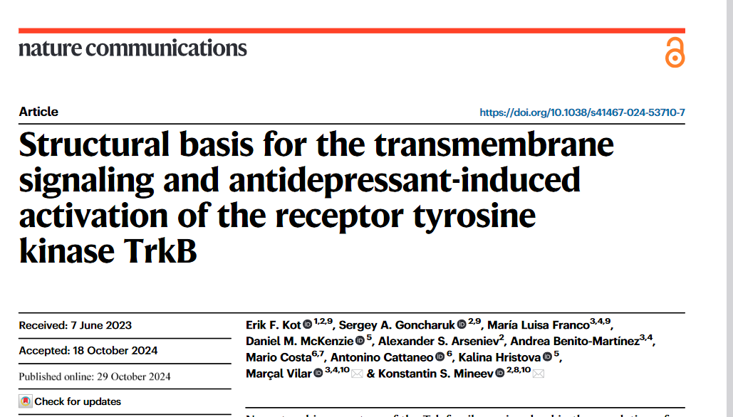 Did you know that antidepressants can alter the structure and function of single-pass receptors? We study these intriguing processes, together with our colleagues <a href="/marcal_vilar/">Marçal Vilar</a> <a href="/komineev/">Konstantin Mineev</a>
