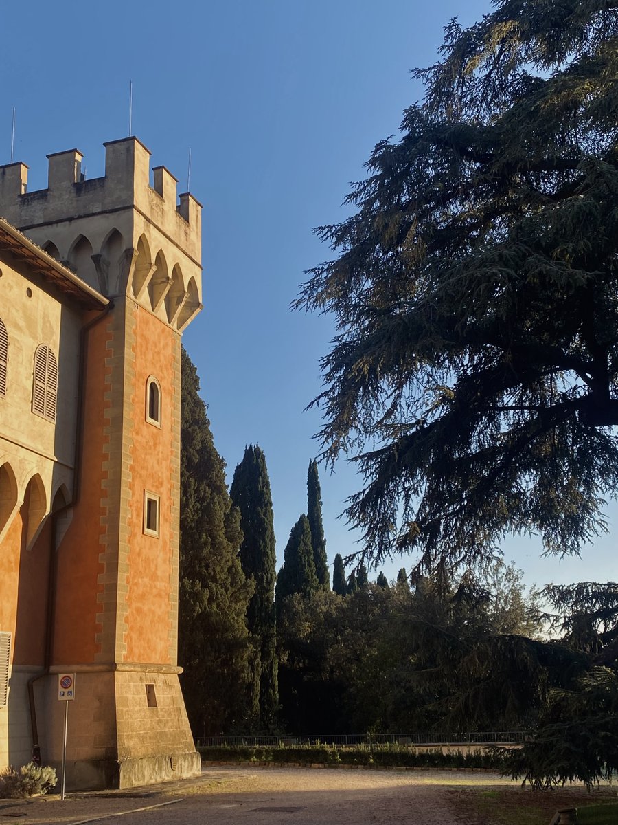 Alberto Rizzelli tweet media