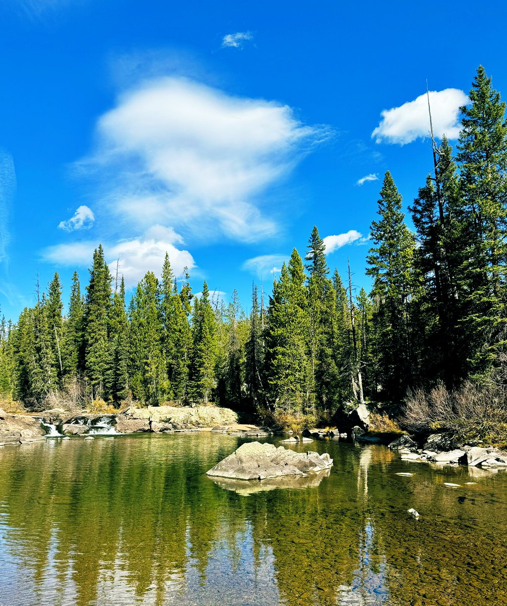 D Miller tweet media