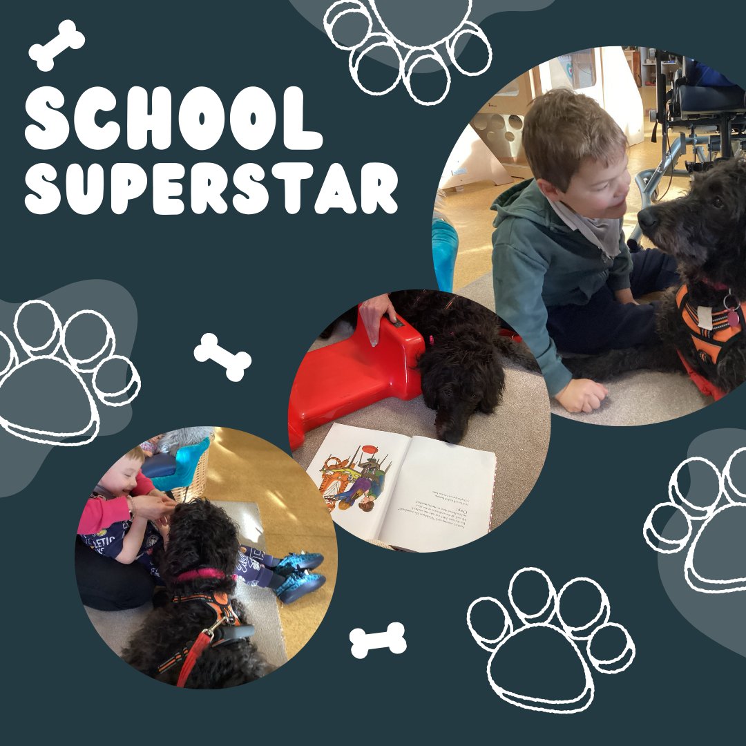 Our school pup, Lily, loved spending time with the Nursery class during Storytime today! 🐾📚 The Nursery had a wonderful time with her as they listened to their stories. 🐶💖
