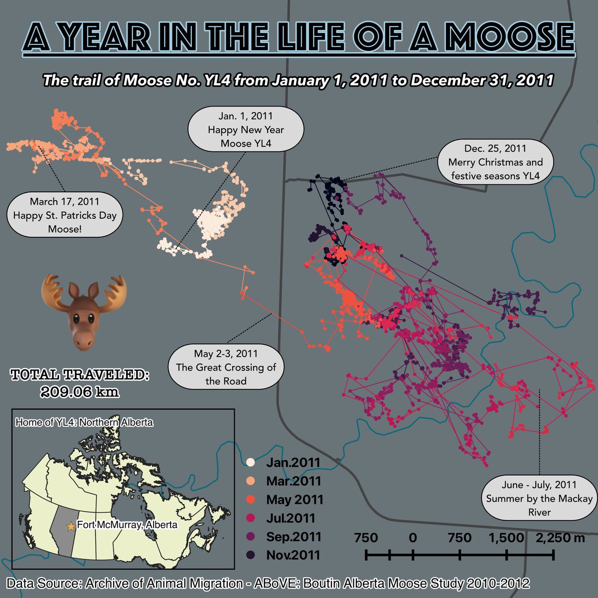 🗺️  DAY 12: SPACE &amp; TIME - Spatio-temporal patterns for a random moose in Northern Alberta today for the #30DayMapChallenge 🫎 Here’s to Moose number YL4 🫡

movebank.org/cms/movebank-c…