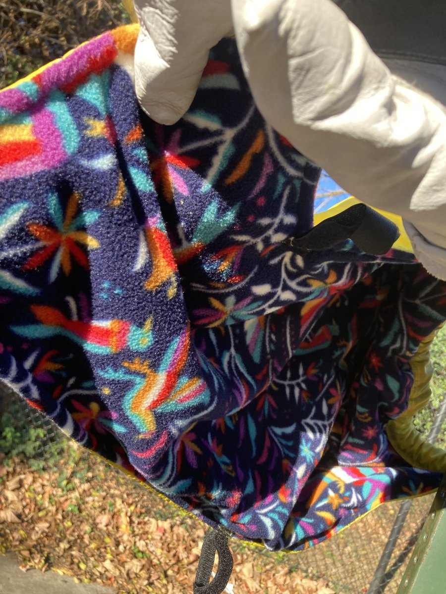 The ride home is going to be chilly if this Lark bike blanket fell off your rig this morning. Tied to the speed table sign near 9th and Kearney in case it is yours.