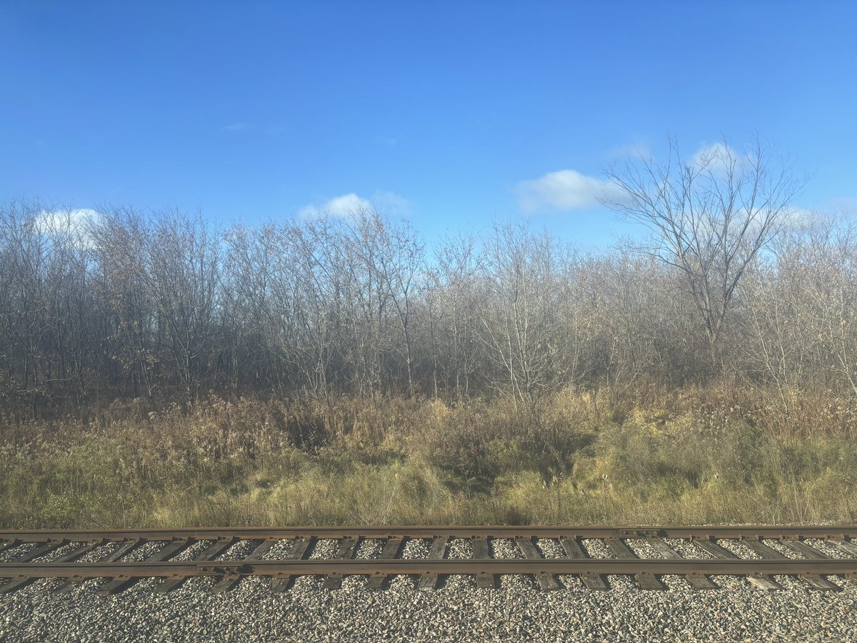 Aviva Rotenberg (@arotenberg) on Twitter photo It’s not for every trip, but man, #train #travel is the best! Cost was reasonable, I’m comfortable, my time is being used well, there’s all kinds of hospitality, nice view, and all is on time. Thank you <a href="/VIA_Rail/">VIA Rail Canada</a> for a great experience. #choochoo It’s not for every trip, but man, #train #travel is the best! Cost was reasonable, I’m comfortable, my time is being used well, there’s all kinds of hospitality, nice view, and all is on time. Thank you <a href="/VIA_Rail/">VIA Rail Canada</a> for a great experience. #choochoo