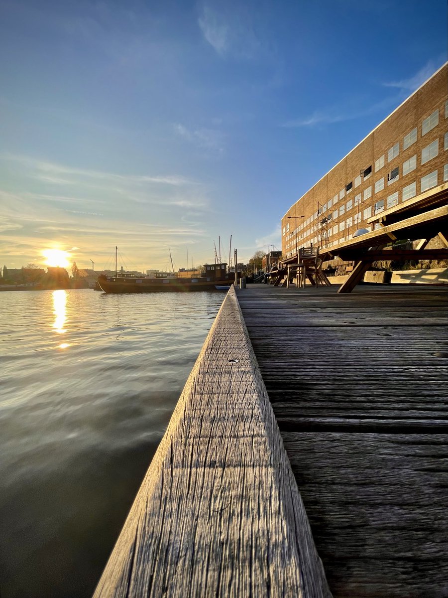 Rob Hoeijmakers tweet media