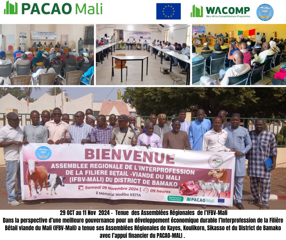PacaoMali's tweet photo. Renforcement de la Gouvernance de l'Interprofession de la Filière Bétail- Viande du Mali/Tenue des Assemblées Régionales de Kayes, Koulikoro, Sikasso et du district de Bamako avec l'appui Technique et financier du @PacaoMali.
@UEauMali 
@WACOMP_ECOWAS 
@elevage_pecheML https://t.co/gBUrUIEeXi