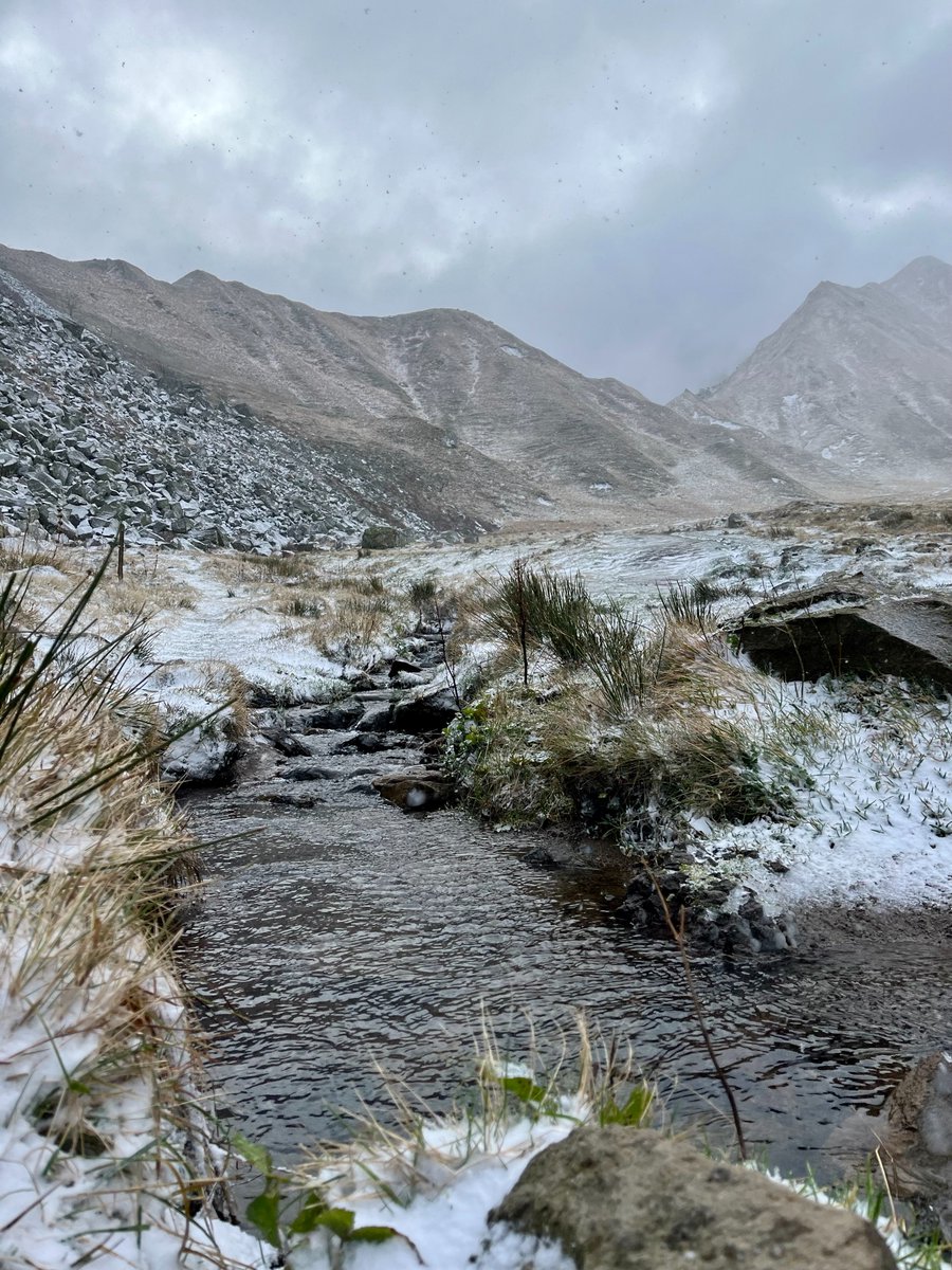 Retour en images sur le saupoudrage magique de mardi dernier... 😍
La neige arrive de nouveau bientôt dans le Massif du Sancy ! ❄️