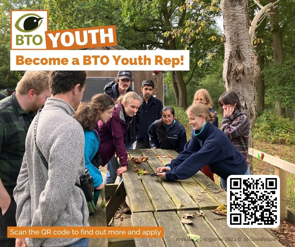 Do you know any birders aged 16-24 with an interested in promoting bird watching to young audiences locally? BTO Youth are looking for new Youth Representatives to join the team! Sign up here: bto.org/about-bto/bto-…