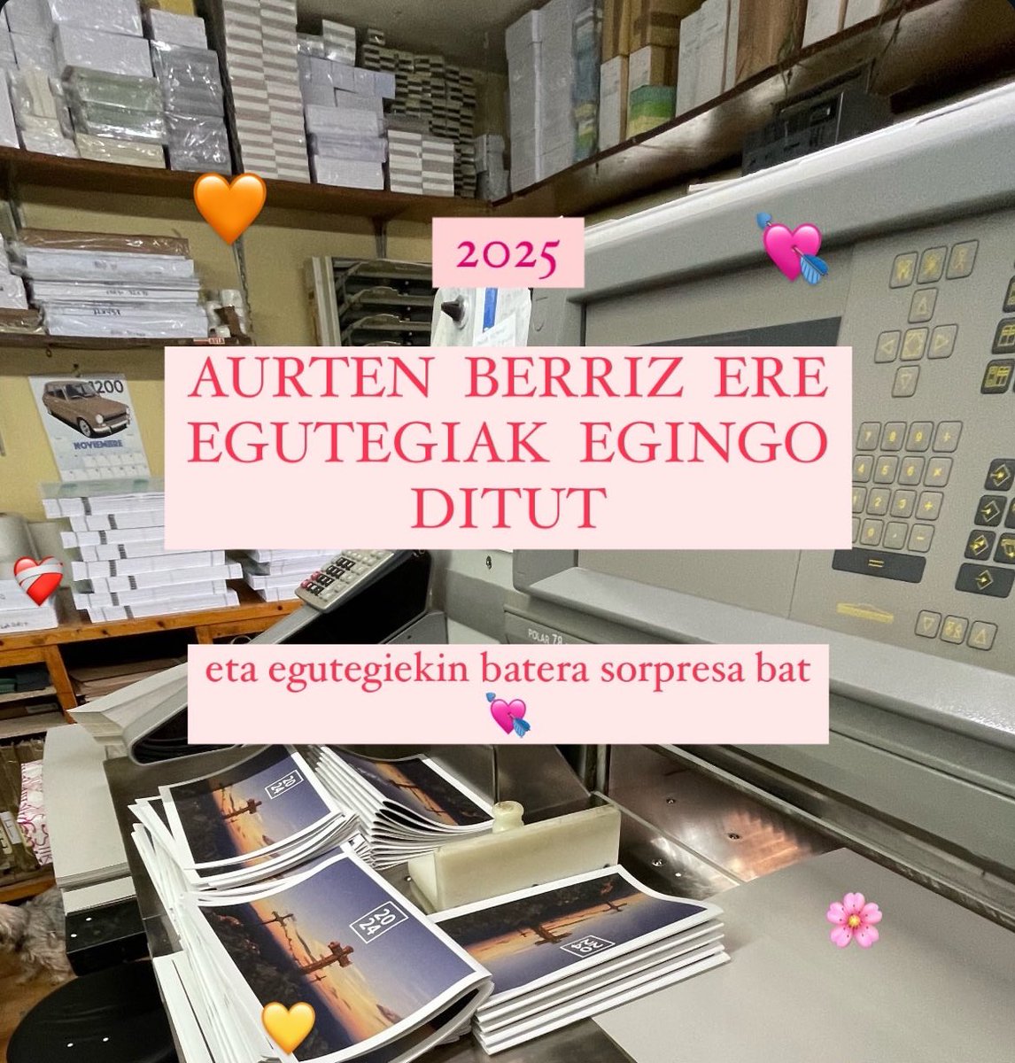 ERKI🐛 tweet media