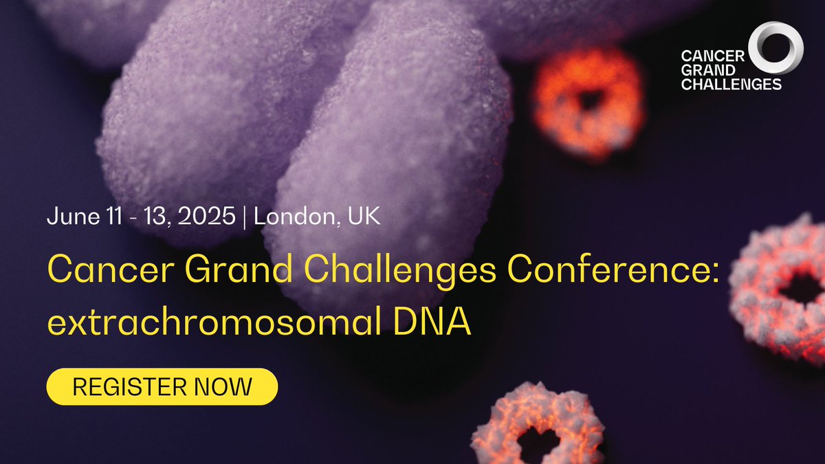 CancerGrand's tweet photo. Next June, join us at the #CancerGrandChallenges Conference: extrachromosomal DNA 📢

We're thrilled to announce the first edition in our new conference series, where we'll be convening researchers from around the globe to discuss ecDNA.

Learn more 👉 https://t.co/J7nAvX8slC https://t.co/MkWxqj5boH
