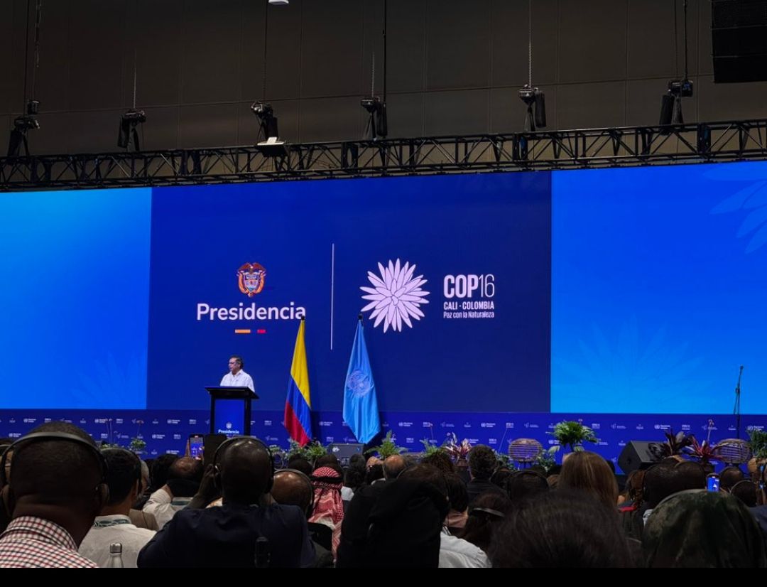 The question of biodiversity credits inspired by carbon credits was discussed again at COP 16. With similar controversies. Review and lessons learned.

buff.ly/3NITw77