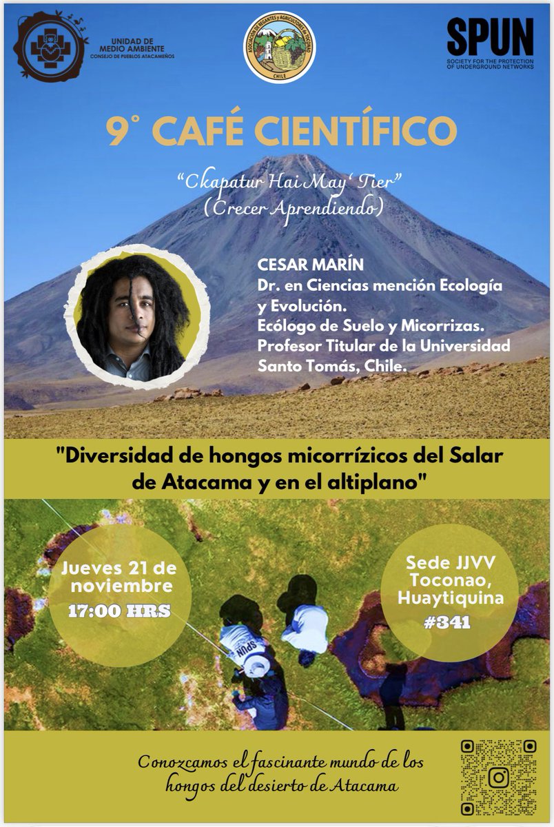 For 2 years now with <a href="/DaniSotoH/">Dani Soto</a> <a href="/adri_corrales33/">Adriana Corrales</a> <a href="/spununderground/">SPUN</a> &amp; Concejo de Pueblos Atacameños we have been working on mapping the mycorrhizas of the driest place on 🌏, following indigenous expertise/interests. Excited to deliver results next week!

cesar-marin.com/wp-content/upl…