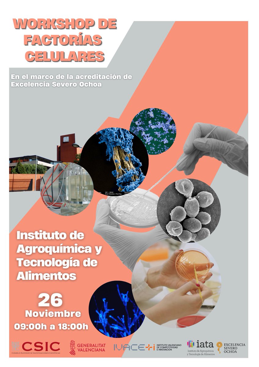 IATA CSIC tweet media