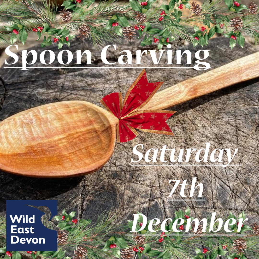 🎁 Make your own Christmas gift this year 🎁 

At Seaton Wetlands - Saturday 7th of December - 10am to 14:30pm

You will learn the techniques involved in green wood carving and have time to work on your own spoon!

Book your space: Event Detail (wildeastdevon.co.uk)