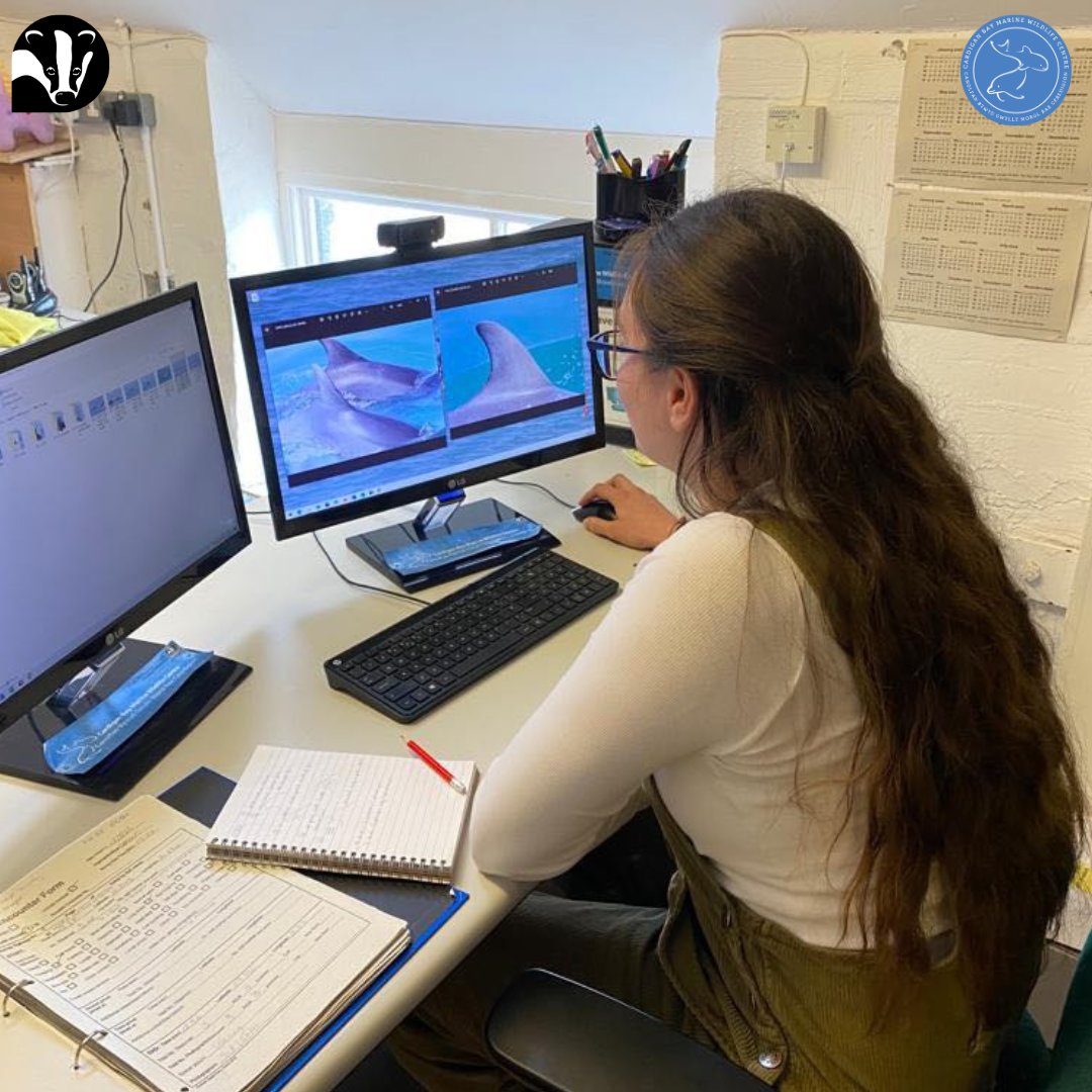 CBMWC News (@cbmwc) on Twitter photo 📢 We're looking for volunteers to join our #MarineConservation team 🌊
🐬🐙Contribute to #marineconservation in Wales, experience our amazing wildlife and have fun! 🦈🐚
Follow the link to discover more 👉
<a href="/WTSWW/">WildlifeTrustSWWales 🦡🐬</a> 📢 We're looking for volunteers to join our #MarineConservation team 🌊
🐬🐙Contribute to #marineconservation in Wales, experience our amazing wildlife and have fun! 🦈🐚
Follow the link to discover more 👉
<a href="/WTSWW/">WildlifeTrustSWWales 🦡🐬</a>