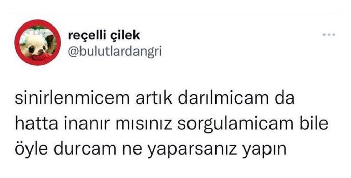 MOOD (@w3mood) on Twitter photo 