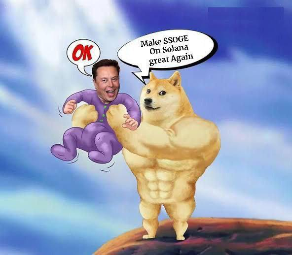 Sometimes it just makes sense $SOGE 

The $DOGE of #Solana
