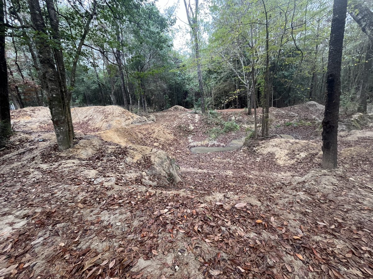 TheJoseph_Bene's tweet photo. About to do a little more work on this track. #mtb #backyardtrack https://t.co/WJUGulfTIu