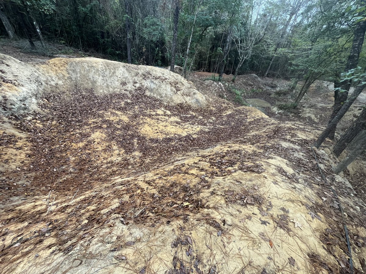 TheJoseph_Bene's tweet photo. About to do a little more work on this track. #mtb #backyardtrack https://t.co/WJUGulfTIu