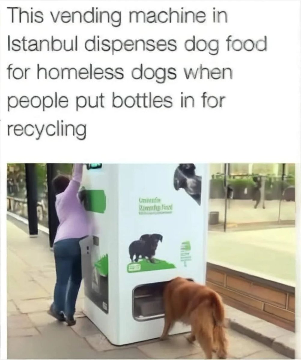 WholesomeMemes (@wholesomememe) on Twitter photo 