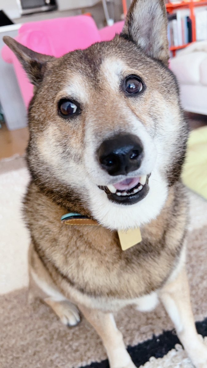 jtbling's tweet image. 나도 함 찍어봄 ㅎ 이렇게 찍는거 맞나?🤣🤣🤣🫣🫣 #MZ(‘smomshot)